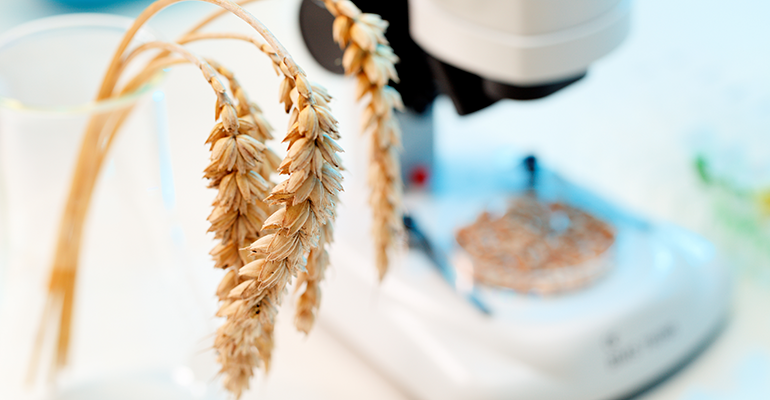 Credit: © AdobeStock/luchschenF