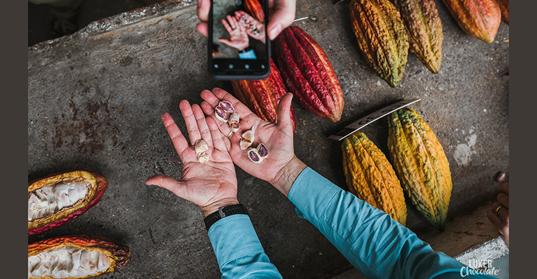 Image credit: Luker Chocolate