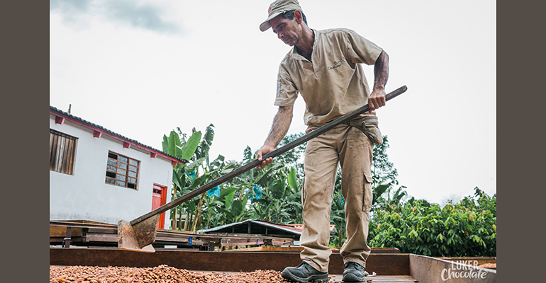 Image credit: Luker Chocolate