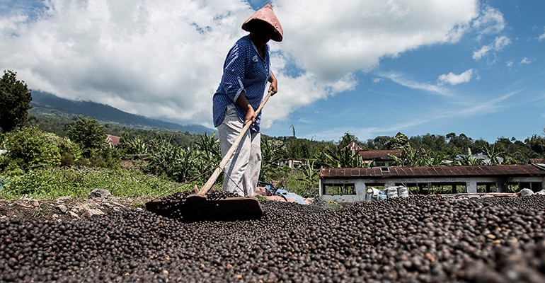 Credit: © AdobeStock/novian