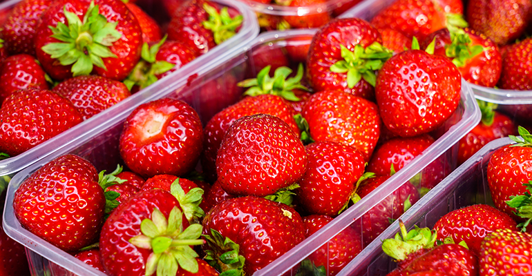 Credit: © AdobeStock/Zigmunds