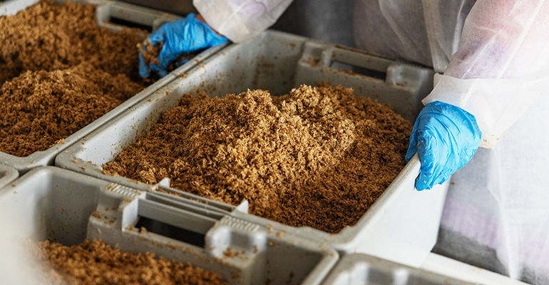 Credit: © Ulrik Jantzen, Büro Jantzen Aps