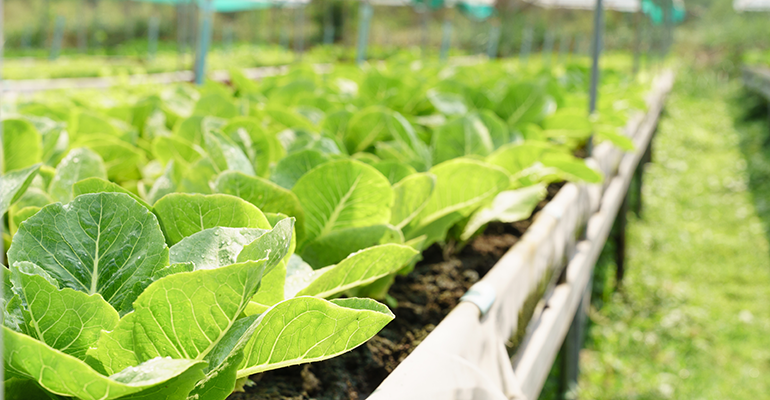 Credit: © AdobeStock/myboys.me