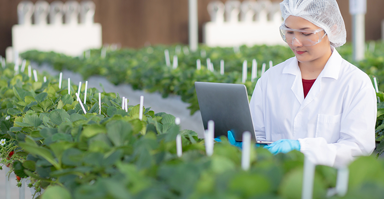 Credit: © AdobeStock/N_studio