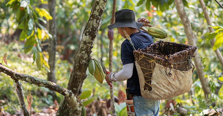 Credit: © AdobeStock/Andrés Rivas