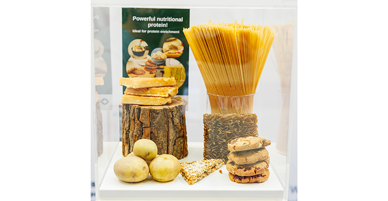 Credit: © Fi Europe 2023 | Steve Burden Photography