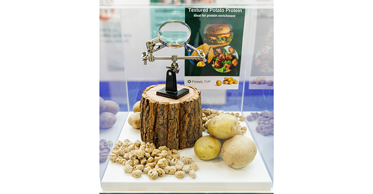 Credit: © Fi Europe 2023 | Steve Burden Photography