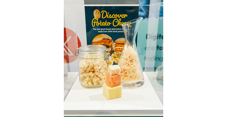 Credit: © Fi Europe 2023 | Steve Burden Photography