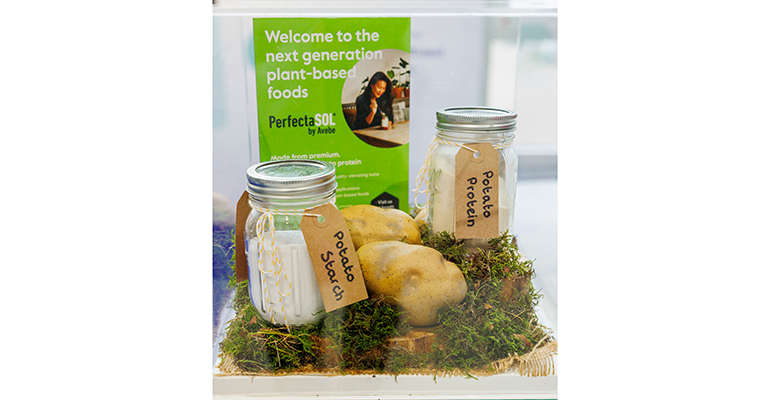 Credit: © Fi Europe 2023 | Steve Burden Photography