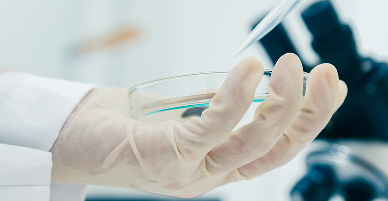 Credit: © iStock/JK1991