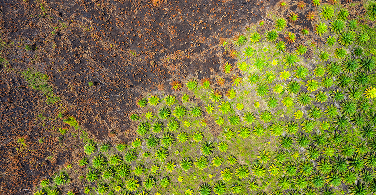 Credit: © iStock/joakimbkk