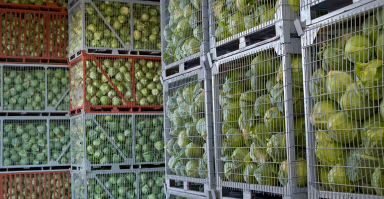 Credit: © iStock/zilli