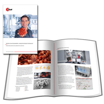 Functionalization of FOOD ADDITIVES