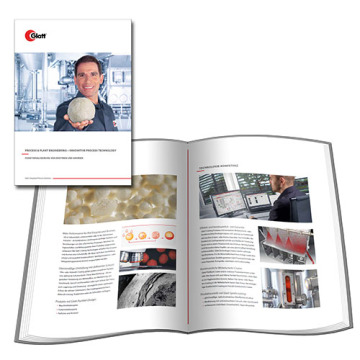 Functionalization of ENZYMES and FLAVORS