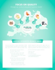 Flyer Global Food Group