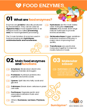 Food Enzymes & Koji Fermentation