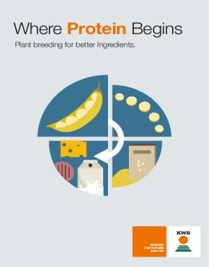 Where Proteins Begins
