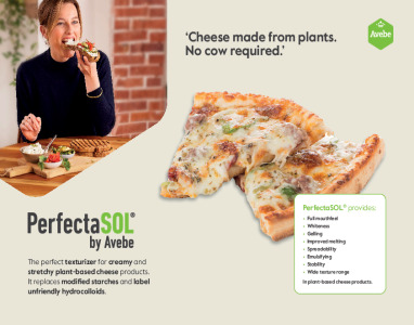 PerfectaSOL® Texturizer for plant-based cheese
