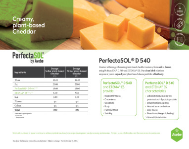 PerfectaSOL® D 540 & ETENIA® ES Creamy plant-based cheddar