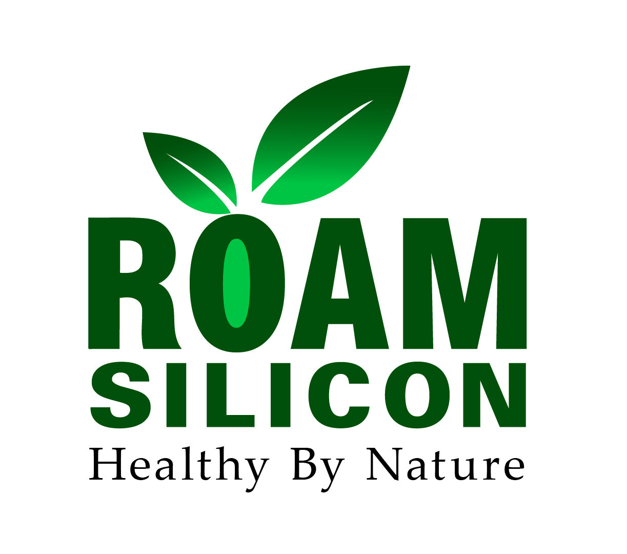 Roam Silicon BV