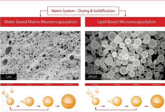 Spray (micro) encapsulation of sensitive substances in matrix form