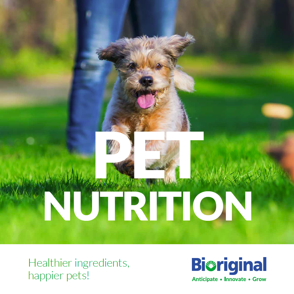 Pet Nutrition