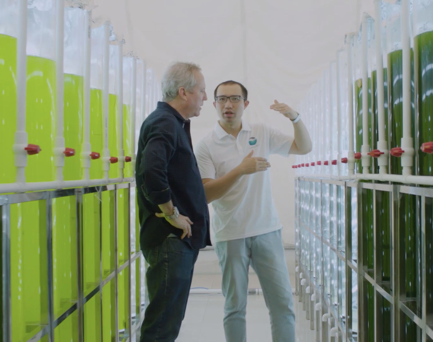 Lyxia Corp - Nannochloropsis Microalgae & AlgaLab Natural EPA