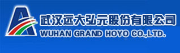 Wuhan Grand Hoyo Co., Ltd.
