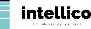 Intellico S.r.l.