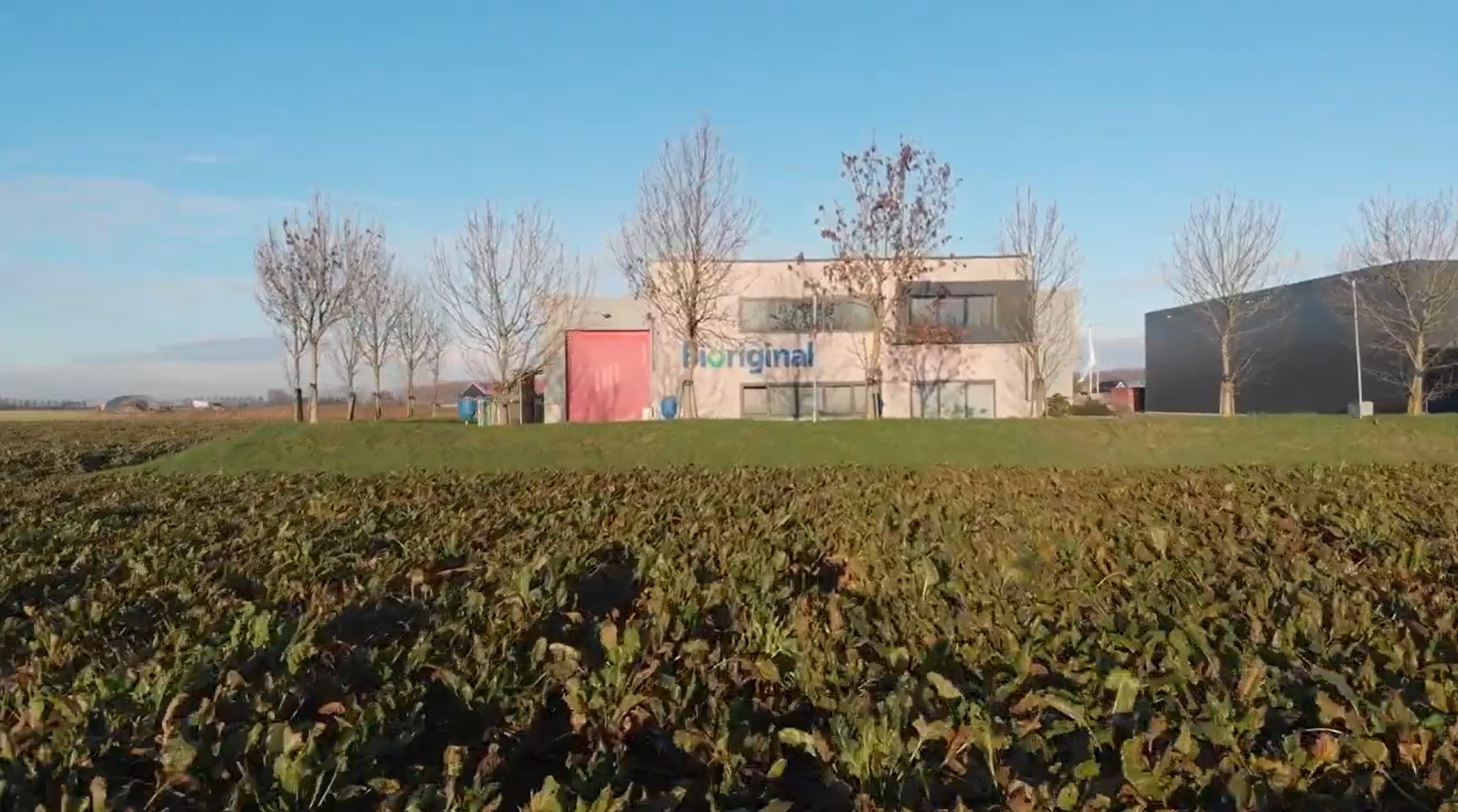 Bioriginal's food & nutritional solutions can help you innovate!