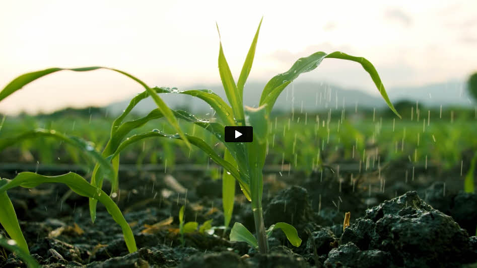 Video - Jungbunzlauer Introduction