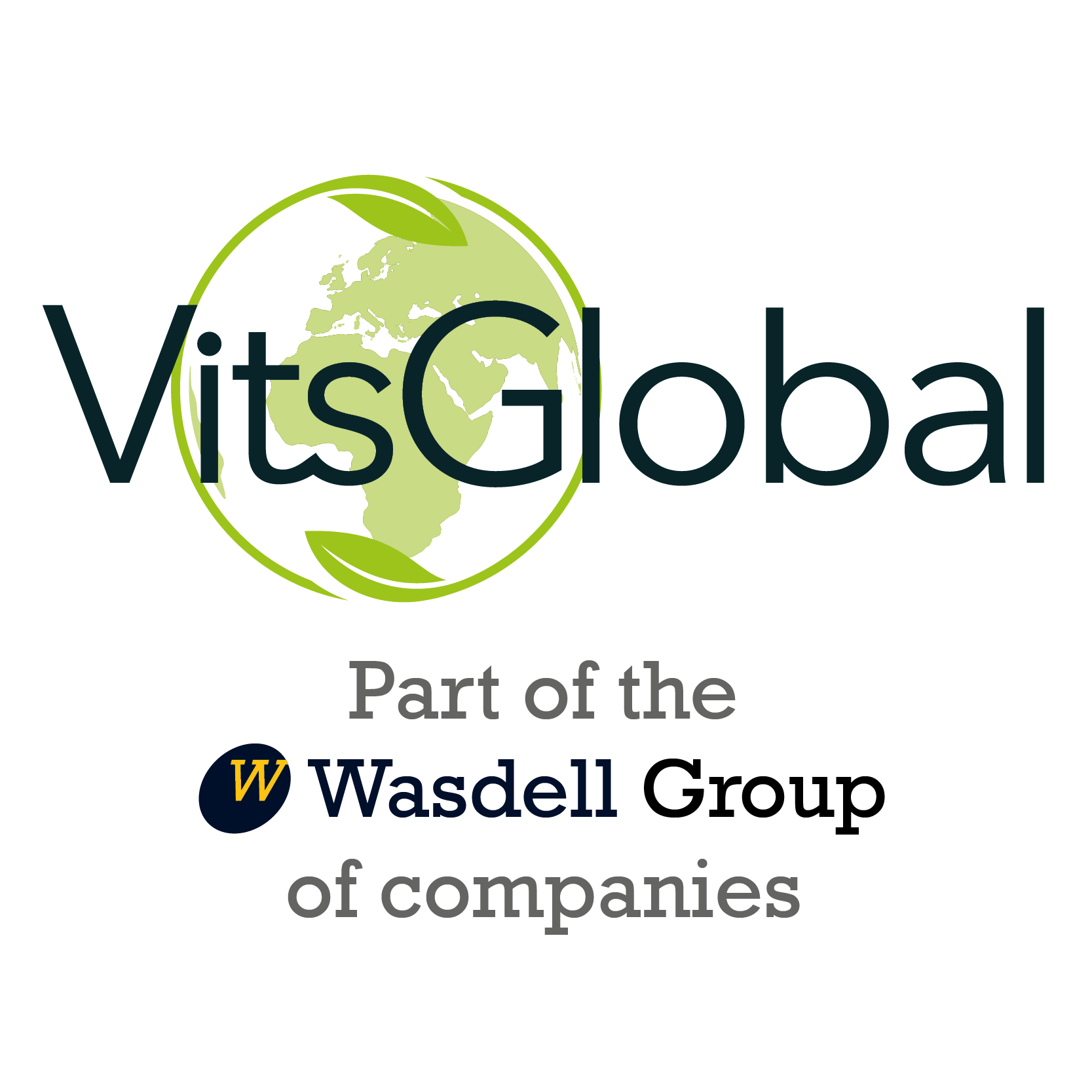 Wasdell Group Ltd.