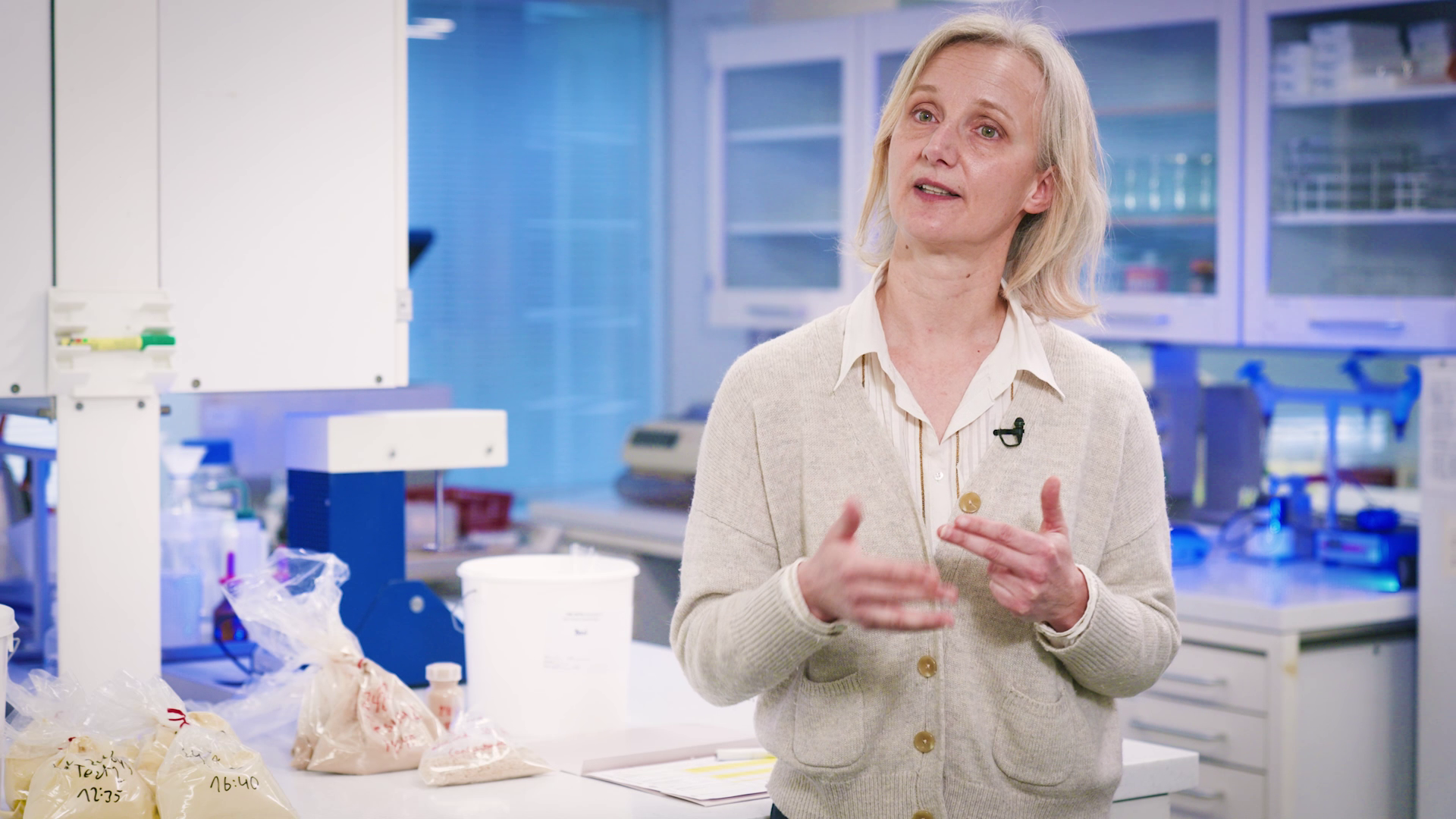 Plant-based protein powder - prioritize quality