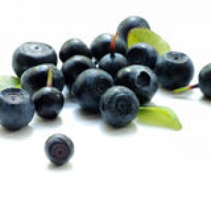http://www.dreamstime.com/royalty-free-stock-images-bilberries-image3131459