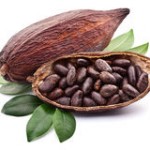 http://www.dreamstime.com/stock-image-cocoa-pod-white-background-image35372521