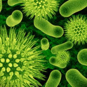 http://www.dreamstime.com/stock-photos-bacteria-image7116413