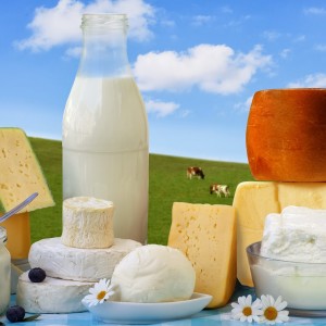 bigstock-Dairy-Products-7914156