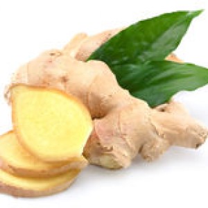 http://www.dreamstime.com/royalty-free-stock-photo-ginger-image25237835