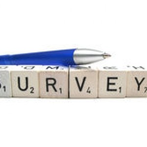 http://www.dreamstime.com/royalty-free-stock-image-survey-pen-image6481866