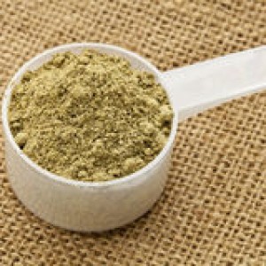http://www.dreamstime.com/stock-photography-scoop-hemp-protein-powder-image24295742